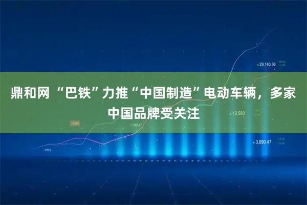 鼎和网 “巴铁”力推“中国制造”电动车辆,多家中国品牌受关注