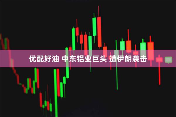 优配好油 中东铝业巨头 遭伊朗袭击