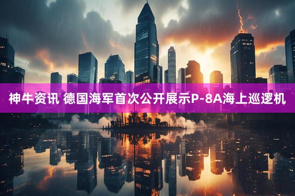 神牛资讯 德国海军首次公开展示P-8A海上巡逻机