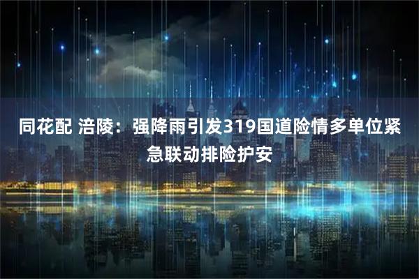 同花配 涪陵：强降雨引发319国道险情多单位紧急联动排险护安